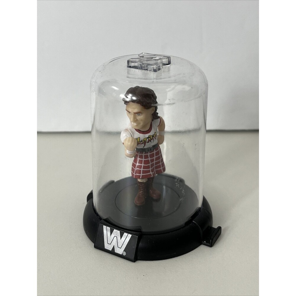 WWE Legends DOMEZ Collectible Mini Figure Macho Man Undertaker Stone Cold MORE